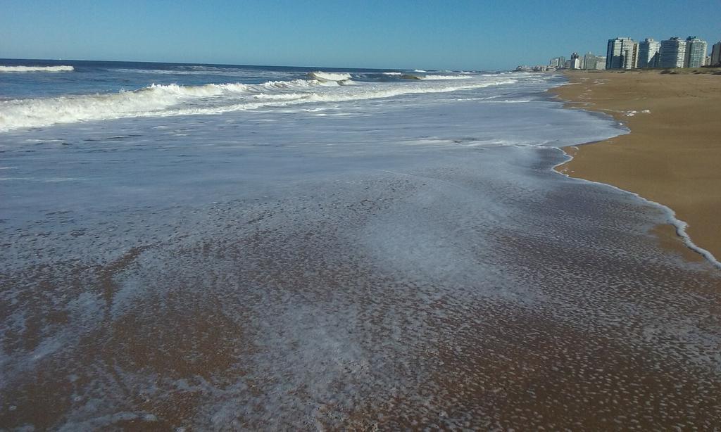 Spiaggia Brava Punta ปุนตา เดล เอสเต ภายนอก รูปภาพ