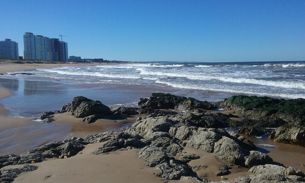 Spiaggia Brava Punta ปุนตา เดล เอสเต ภายนอก รูปภาพ